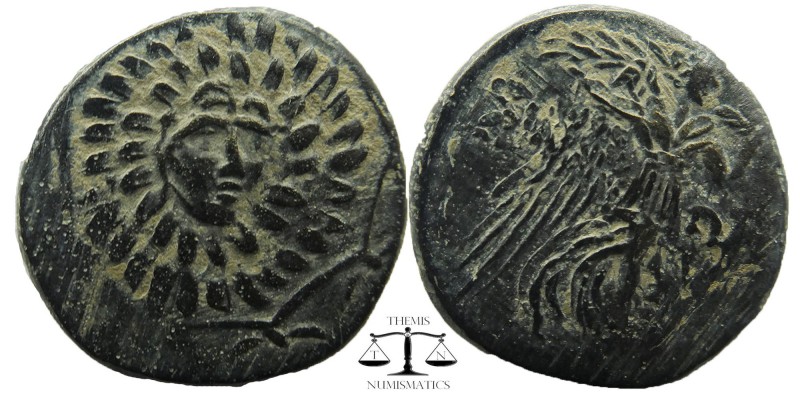 Pontos, Amisos. Under Mithradates VI Eupator. Ca. 85-65 B.C. AE
Aegis with Gorg...