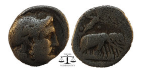 SELEUKID EMPIRE. Seleukos I Nikator. 312-281 BC. AR Drachm
 Seleukeia on the Tigris II mint. Struck circa 296/5-281 BC. 
Laureate head of Zeus right
A...