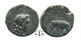 SELEUKID KINDOM Antiochos III ‘the Great’ (222-187 BC). Ae.
Laureate head of Apoll right.
BAΣΙΛΕΩΣ ANTIOXOY.
Elephant advancing left. Control: Mono...