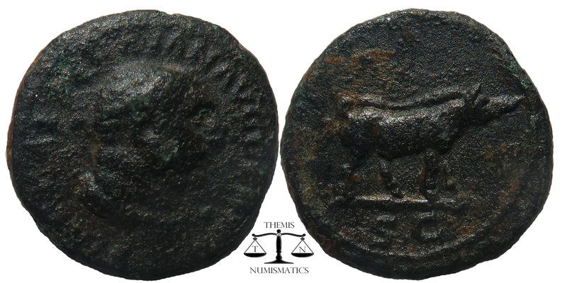 Trajan. A.D. 98-117. AE quadrans
diademed head of bearded Hercules right wearing...