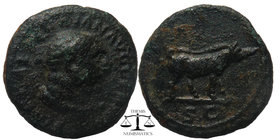 Trajan. A.D. 98-117. AE quadrans
diademed head of bearded Hercules right wearing lion-skin
Boar r.; in exergue, SC. BN IV, 113, 941. RIC 294, 702. C. ...