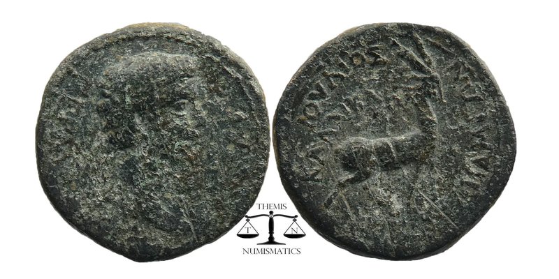 PHRYGIA. Apameia. Germanicus (Caesar, 4 BC-19 AD). Ae. G. 
Bare head right.
Stag...