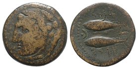 Spain, Gadir, late 2nd century BC. Æ Unit (25mm, 10.80g, 6h). Head of Melqart l., wearing lion skin and with club over shoulder. R/ Two tunny fish l.;...