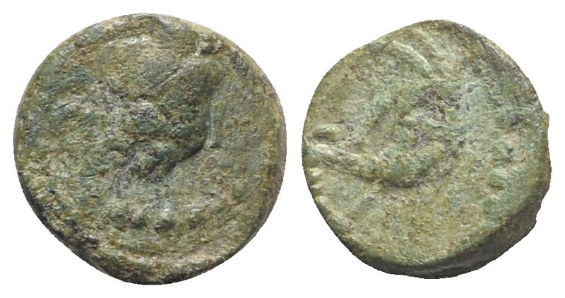 Gaul, Massalia, after 49 BC. Æ (10.5mm, 2.26g, 12h). Head r. R/ Boar head (?) l....