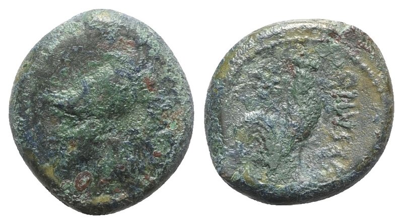 Northern Campania, Suessa Aurunca, c. 265-240 BC. Æ (19mm, 6.01g, 6h). Helmeted ...