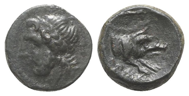 Northern Apulia, Arpi, c. 325-275 BC. Æ (14mm, 3.41g, 6h). Laureate head of Zeus...