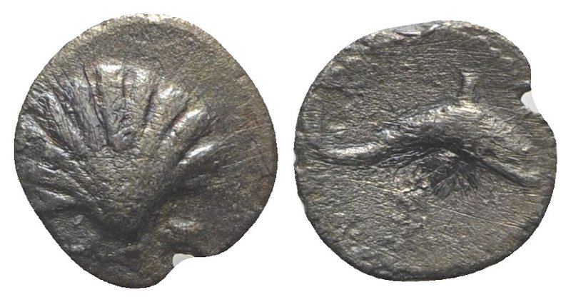 Southern Apulia, Tarentum, c. 280-228 BC. AR Litra (9mm, 0.40g, 6h). Cockle shel...