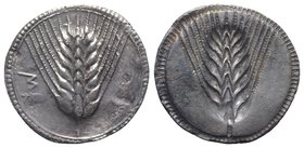 Southern Lucania, Metapontion, c. 540-510 BC. AR Stater (29mm, 7.89g, 12h). Barley ear. R/ Incuse barley ear. Noe 46; HNItaly 1463. Toned, Good VF