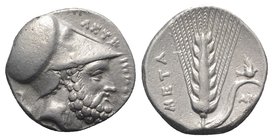 Southern Lucania, Metapontion, c. 340-330 BC. AR Stater (21mm, 7.87g, 9h). Ami-, magistrate. Helmeted head of Leukippos r.; to l., dog seated l. R/ Ba...