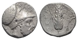 Southern Lucania, Metapontion, c. 340-330 BC. AR Stater (19mm, 7.38g, 1h). Ami-, magistrate. Helmeted head of Leukippos r.; [to l., dog seated l.] R/ ...