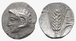 Southern Lucania, Metapontion, c. 325-275 BC. AR Diobol (11mm, 0.84g, 11h). Head of Apollo Karneios l. R/ Barley ear, with leaf to r.; plow on leaf. J...