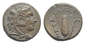 Southern Lucania, Metapontion, c. 300-250 BC. Æ (12mm, 2.96g, 9h). Head of Herakles r., wearing lion's skin headdress. R/ Ear of barley. Johnston Bron...