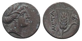 Southern Lucania, Metapontion, c. 300-250 BC. Æ (13mm, 2.21g, 11h). Wreathed head of Demeter r. R/ Grain ear with stem to r.; fly to r. Johnston Bronz...