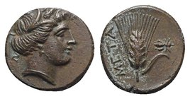 Southern Lucania, Metapontion, c. 300-250 BC. Æ (13mm, 2.81g, 9h). Wreathed head of Demeter r. R/ Grain ear with stem to r.; fly to r. Johnston Bronze...
