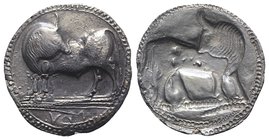 Southern Lucania, Sybaris, c. 550-510 BC. AR Stater (29mm, 7.97g, 12h). Bull standing l. on dotted exergual line, looking back. R/ Incuse bull standin...