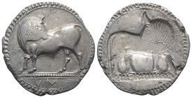 Southern Lucania, Sybaris, c. 550-510 BC. AR Stater (27mm, 7.98g, 12h). Bull standing l. on dotted exergual line, looking back. R/ Incuse bull standin...
