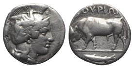 Southern Lucania, Thourioi, c. 443-400 BC. AR Stater (19mm, 7.75g, 6h). Helmeted head of Athena r., helmet decorated with griffin. R/ Bull butting l.;...