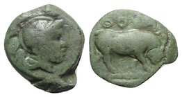 Southern Lucania, Thourioi, c. 435-410/05 BC. Æ (17mm, 4.08g, 3h). Helmeted head of Athena r. R/ Bull walking r. Cf. HNItaly 1904. Green patina, Good ...