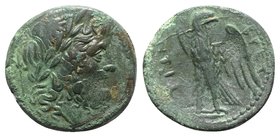 Bruttium, The Brettii, c. 211-208 BC. Æ Unit (21.5mm, 5.76g, 1h). Laureate head of Zeus r.; harpa behind. R/ Eagle standing l., head r., with wings sp...