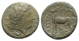 Bruttium, Nuceria, c. 225-200 BC. Æ (23mm, 10.79g, 3h). Laureate head of Apollo r.; crab below. R/ Horse standing l.; pentagram below. HNItaly 2438; S...