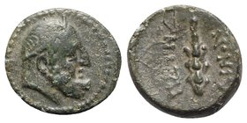 Bruttium, Petelia, late 3rd century BC. Æ (11mm, 1.38g, 1h). Bearded head of Herakles r., wearing tainia. R/ Club. HNItaly 2459; SNG ANS 609. Rare, gr...