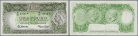 Australia: 1 Pound 1961 ”STAR NOTE” (Replacement), signed Coombs-Wilson and Coombs as Governor Reserve Bank, very light centre fold, light tiny stain ...