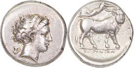 CAMPANIA, NEAPOLIS, c. 300-275 BC. AR Nomos.