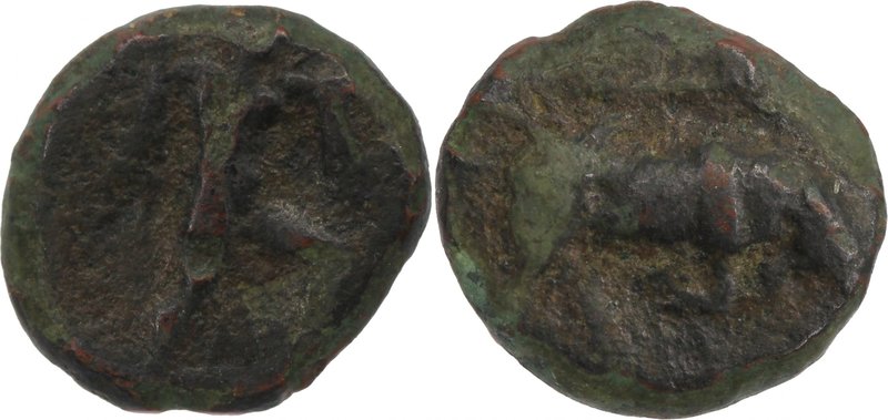 LUCANIA, POSEIDONIA, c. 350-280 BC. AE (12mm, 1,51g, 11h). Bull butting right, c...