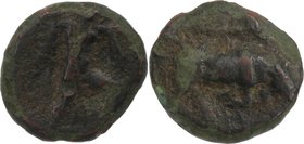 LUCANIA, POSEIDONIA, c. 350-280 BC. AE 12.
