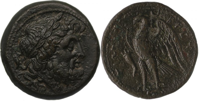 BRUTTIUM, THE BRETTII, 214-211 BC. AE unit (21mm, 8,22g, 8h). Laureate head of Z...
