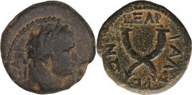 SYRIA, DECAPOLIS, GADARA, Titus, as Caesar, AD 69-79. AE 18.