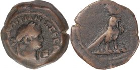 EGYPT, ALEXANDRIA, Domitian. AD 81-96. Æ Obol.
