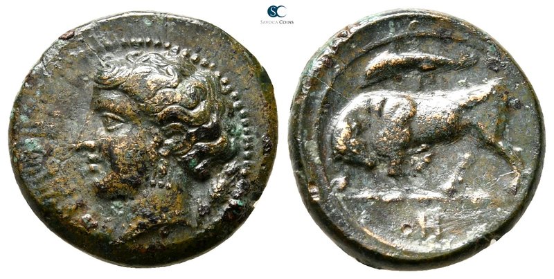 Sicily. Syracuse. Hieron II 275-215 BC. 
Bronze Æ

17 mm., 3,70 g.



ver...