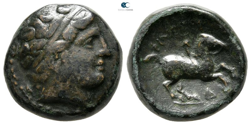 Kings of Macedon. Philip II of Macedon 359-336 BC. 
Unit Æ

18 mm., 7,00 g.
...