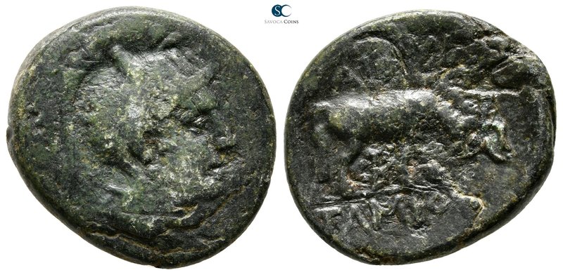 Macedon. Pella 187-31 BC. 
Bronze Æ

23 mm., 8,55 g.



very fine