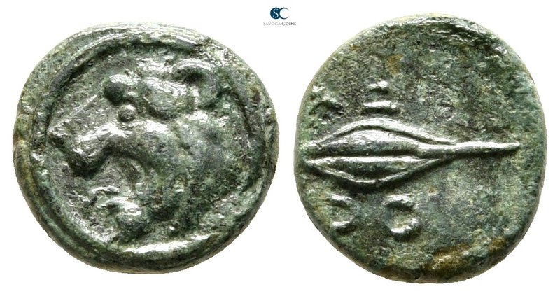 Thrace. Chersonesos circa 386-309 BC. 
Bronze Æ

10 mm., 1,16 g.



very ...