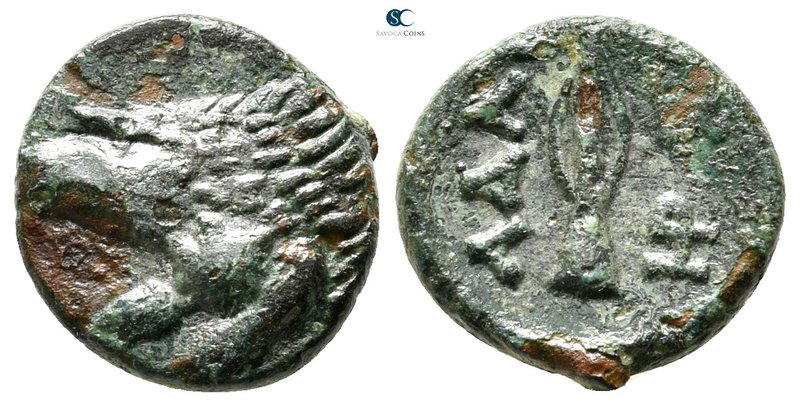 Kings of Thrace. Seleukid. Adaios 253-243 BC. 
Bronze Æ

14 mm., 1,94 g.

...