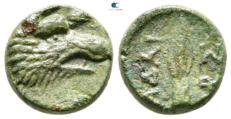 Kings of Thrace. Kypsela. Seleukid. Adaios circa 253-243 BC. 
Bronze Æ

13 mm...
