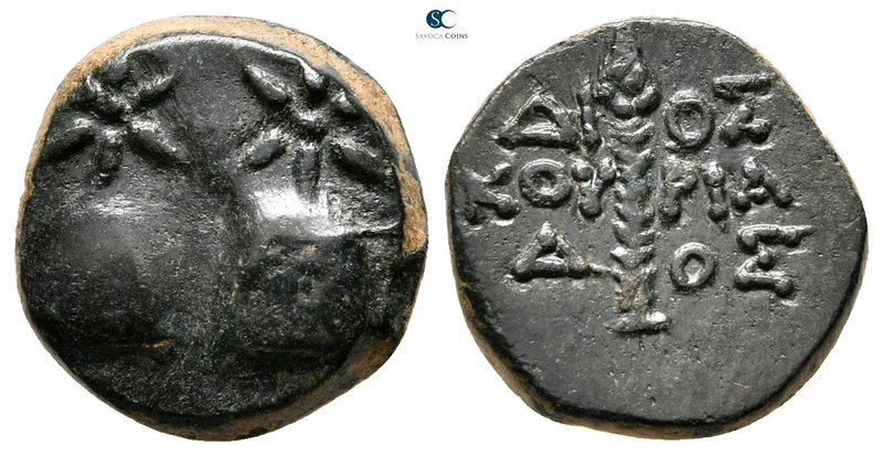 Colchis. Dioskourias circa 105-90 BC. 
Bronze Æ

15 mm., 2,93 g.



very ...