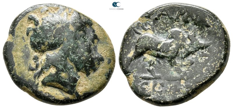 Pontos. Pharnakeia circa 350 BC. 
Bronze Æ

22 mm., 7,67 g.



nearly ver...
