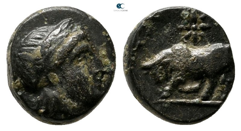 Mysia. Gambrion circa 350-250 BC. 
Bronze Æ

10 mm., 1,32 g.



very fine...
