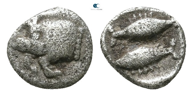 Mysia. Kyzikos 450-400 BC. 
Hemiobol AR

7 mm., 0,24 g.



very fine
