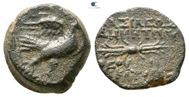 Seleukid Kingdom. Ake-Ptolemaïs mint. Demetrios II Nikator, 2nd reign 129-125 BC. Bronze Æ