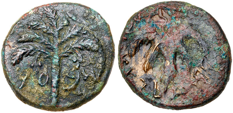 Judaea, Bar Kokhba Revolt. &AElig; Medium Bronze (13.40 g), 132-135 CE. Undated,...