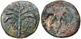 Judaea, Bar Kokhba Revolt. Æ Medium Bronze (13.40 g), 132-135 CE. VF