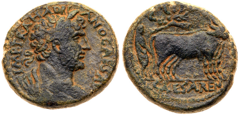 Samaria, Caesarea Maritima. Hadrian. &AElig; (19.63 g), AD 117-138. Laureate, dr...