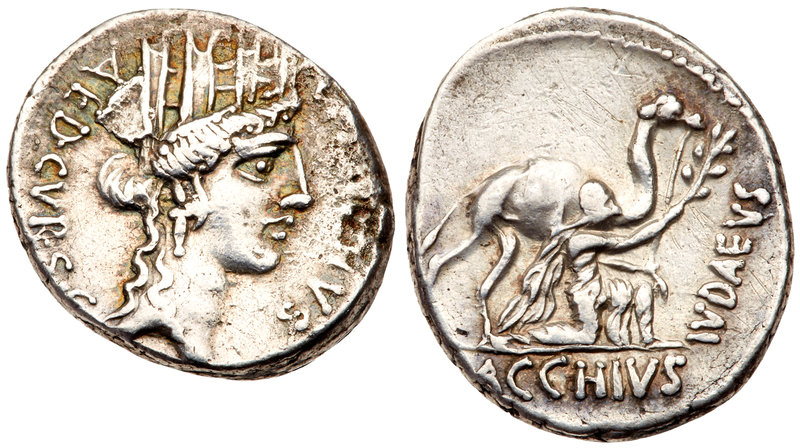 A. Plautius. Silver Denarius (3.71 g), 55 BC. Rome. A PLAVTIVS AED CVR S C, turr...