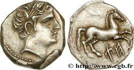 SICILY - AKRAGAS
Type : Quart de shekel 
Date : c. 213-210 AC. 
Mint name / Town : Agrigente, Sicile 
Metal : silver 
Diameter : 14,5 mm
Orienta...