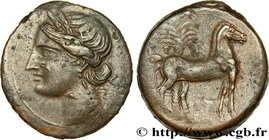 ZEUGITANA - CARTHAGE
Type : Triple shekel 
Date : c. 220-215 AC. 
Mint name / Town : Carthage, Zeugitane 
Metal : copper 
Diameter : 32,5 mm
Ori...