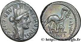 PLAUTIA
Type : Denier 
Date : 55 AC. 
Mint name / Town : Rome 
Metal : silver 
Millesimal fineness : 950 ‰
Diameter : 17,5 mm
Orientation dies ...